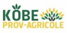 KOBE PROV-AGRICOLE SPR DE RL DE CV